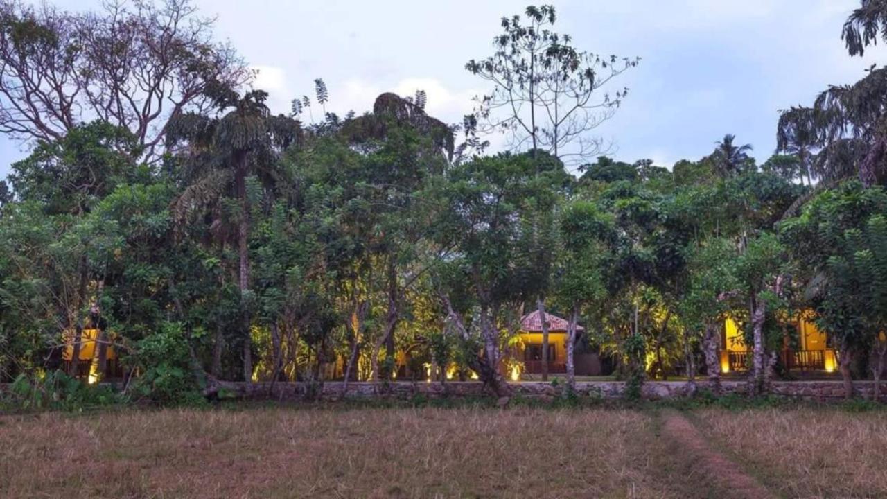 Birds Paradise Cabanas Unawatuna Exteriör bild