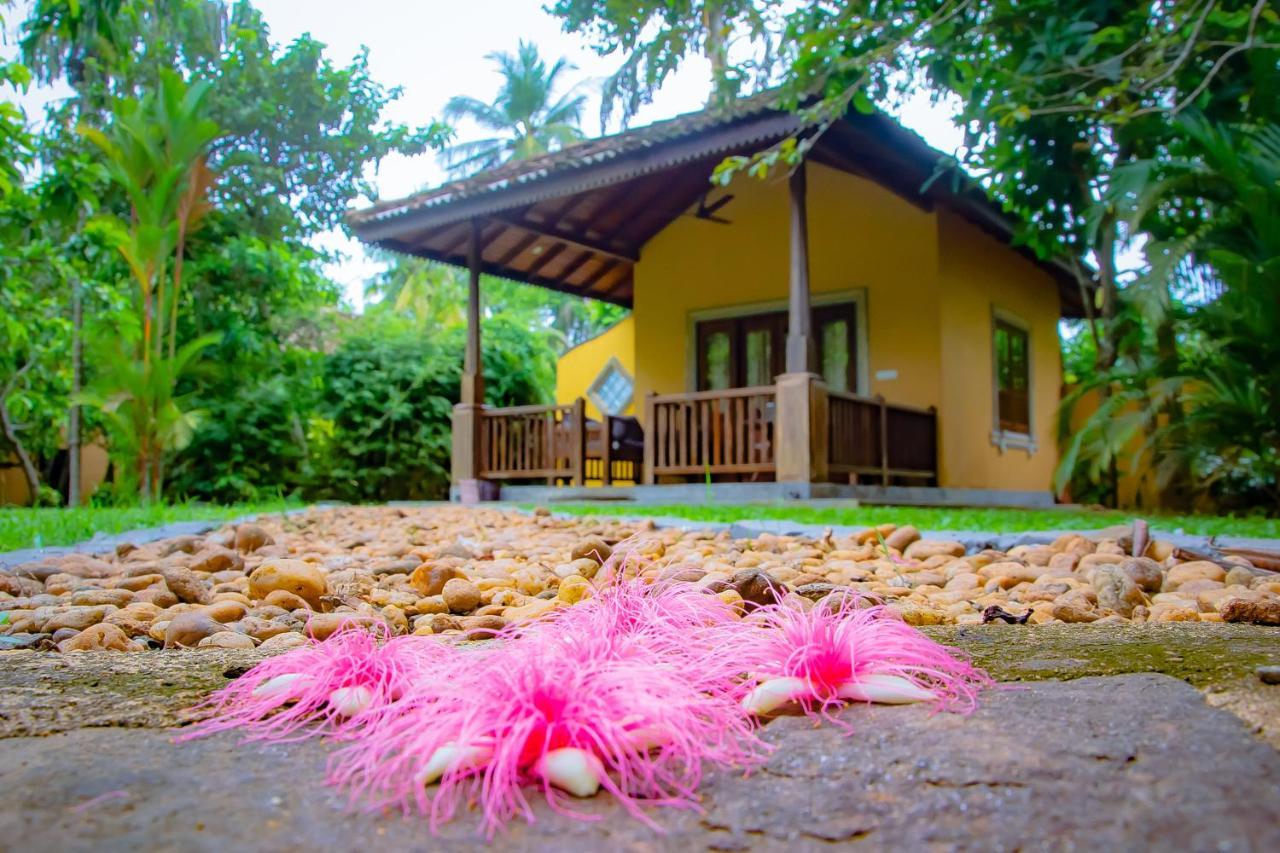 Birds Paradise Cabanas Unawatuna Exteriör bild
