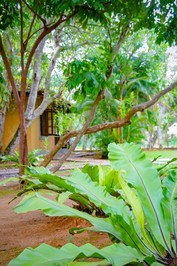 Birds Paradise Cabanas Unawatuna Exteriör bild