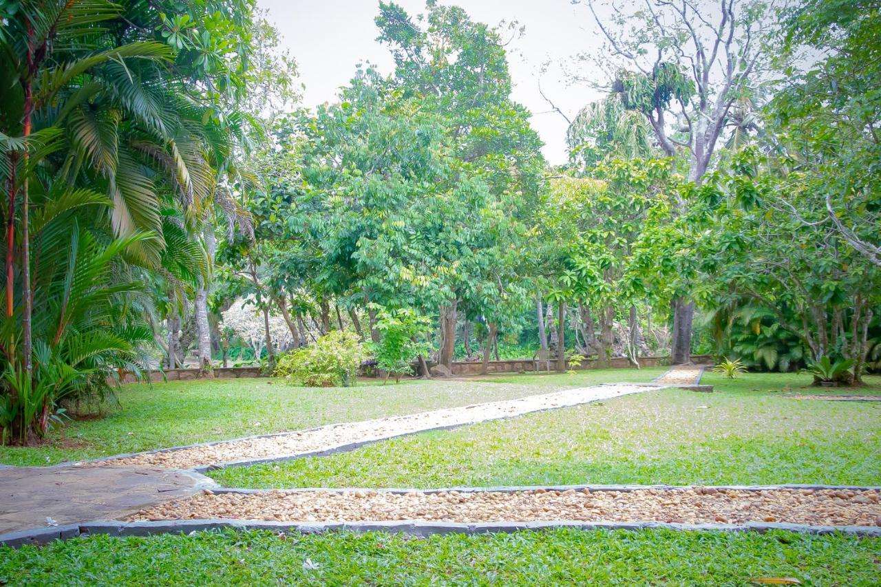 Birds Paradise Cabanas Unawatuna Exteriör bild